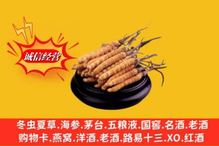 大冶市名酒回收冬虫夏草.jpg